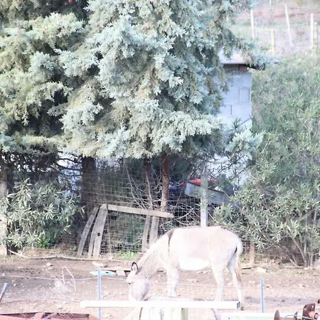 Alloggio per agriturismo Su Pinnatu *