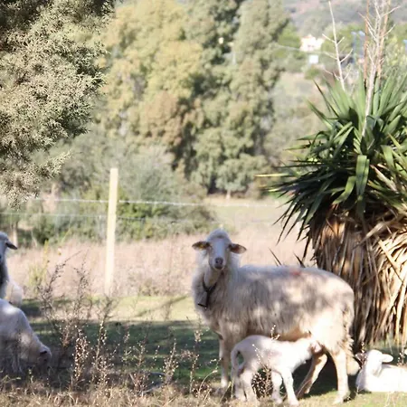 Alloggio per agriturismo Su Pinnatu Santa Lucia (Sardinia)