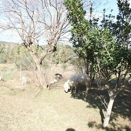 Su Pinnatu * Santa Lucia (Sardinia)