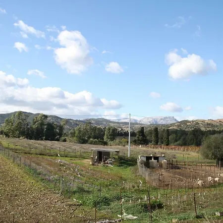 Su Pinnatu Alloggio per agriturismo
