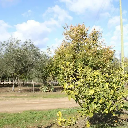 Su Pinnatu Alloggio per agriturismo