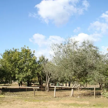 Alloggio per agriturismo Su Pinnatu Santa Lucia (Sardinia)
