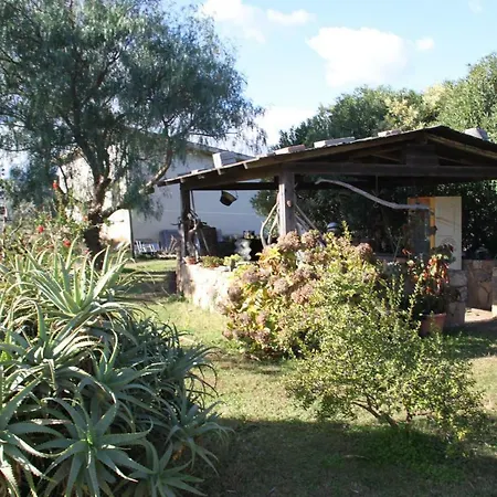 Su Pinnatu