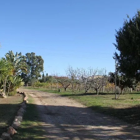 Alloggio per agriturismo Su Pinnatu Santa Lucia (Sardinia)
