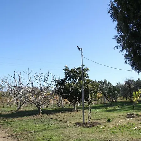Su Pinnatu Alloggio per agriturismo Santa Lucia (Sardinia)