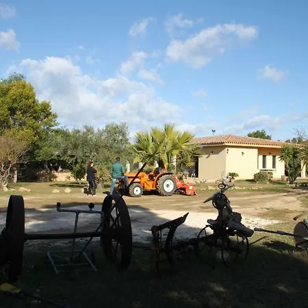 Alloggio per agriturismo Su Pinnatu *