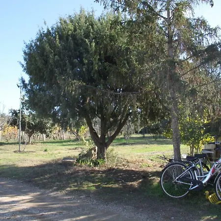 Alloggio per agriturismo Su Pinnatu Santa Lucia (Sardinia)
