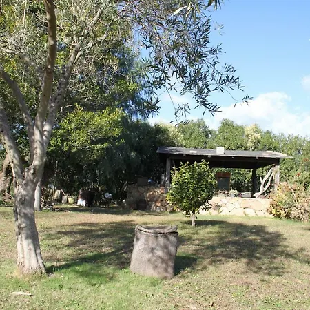 Alloggio per agriturismo Su Pinnatu *