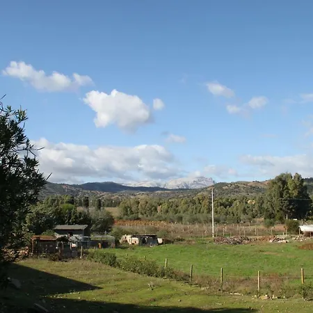 Alloggio per agriturismo Su Pinnatu Santa Lucia (Sardinia)