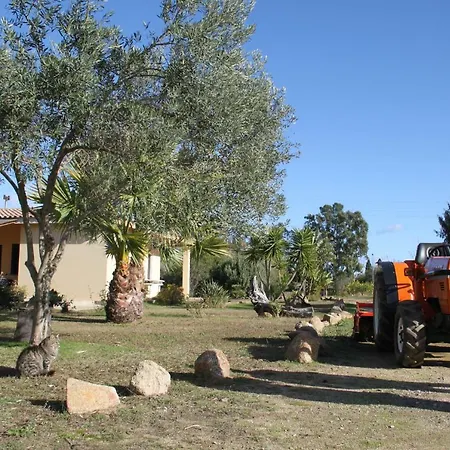 Su Pinnatu Santa Lucia (Sardinia)
